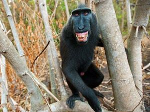 Улыбнуться для фото? Да запросто! Улыбнуться для фото? Да запросто!