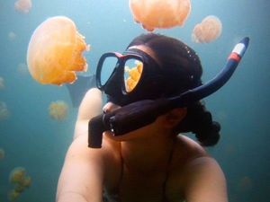 18. Если тебя ужалила медуза, продезинфицируй пострадавшее место водкой. На море обычно сложно сразу же сориентироваться и найти подходящее лекарство от неожиданного укуса медузы. А водка — часто под рукой. 18. Если тебя ужалила медуза, продезинфицируй пострадавшее место водкой. На море обычно сложно сразу же сориентироваться и найти подходящее лекарство от неожиданного укуса медузы. А водка — часто под рукой.