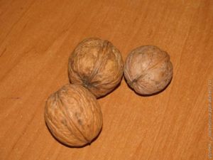 грецкие орехи грецкие орехи