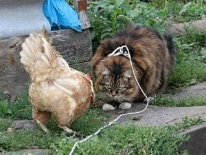 Живи пока. А ночью я к тебе в гости наведаюсь! Живи пока. А ночью я к тебе в гости наведаюсь!