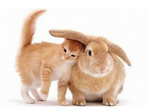 Скажи на ушко, что любишь меня!))) Скажи на ушко, что любишь меня!)))