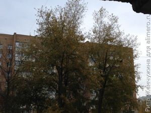 Дом Дом