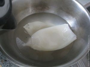 Кальмары Кальмары