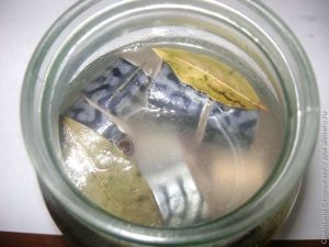 соленая скумбрия рецепт