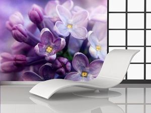 Фотообои в интерьере