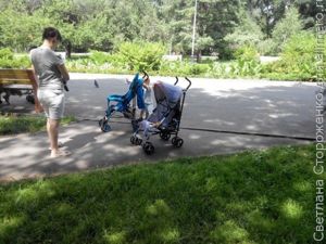 Коляска-трость