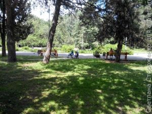 Колясочки в парке Колясочки в парке