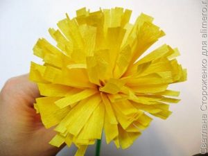 цветы из гофробумаги