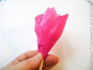цветы из гофробумаги