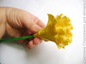 цветы из гофробумаги