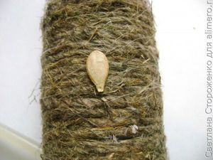 Ваза из бутылки