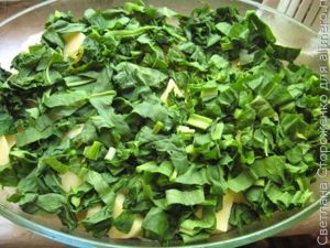 Овощная запеканка с курицей и щавелем