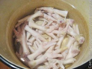 Холодец из курицы