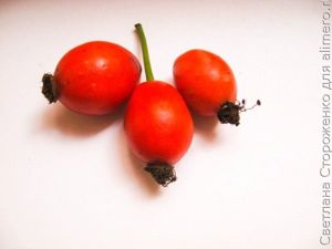 Чай из листьев и ягод