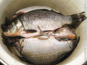 Запеченный карась на овощной подушке