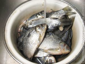Cушеная рыба карась