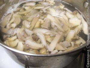 Вешенки по-корейски