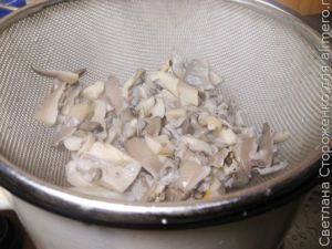 Вешенки по-корейски