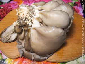 Вешенки по-корейски