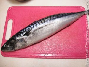 Скумбрия соленая целиком. Самый простой рецепт