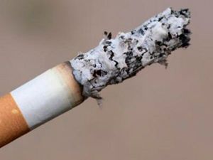 Сигаретный пепел нужно смешать с водой и сделать густую пасту. Смесь нужно втереть в поврежденное место. Вместо пепла можно использовать зубную пасту. Сигаретный пепел нужно смешать с водой и сделать густую пасту. Смесь нужно втереть в поврежденное место. Вместо пепла можно использовать зубную пасту.