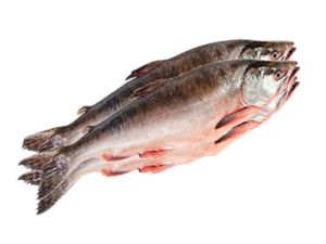 Если вы хотите, чтобы рыба, которую вы достали из морозильной камеры, имела свежий вкус, как будто её только что поймали, попробуйте этот трюк. Положите рыбу для размораживания в миску с молоком. Молоко придаст рыбе отличный вкус. Если вы хотите, чтобы рыба, которую вы достали из морозильной камеры, имела свежий вкус, как будто её только что поймали, попробуйте этот трюк. Положите рыбу для размораживания в миску с молоком. Молоко придаст рыбе отличный вкус.