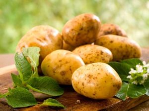 Для того, чтобы хорошо очищалась кожура с молодого картофеля, его перед чисткой нужно положить в соленую холодную воду. Для того, чтобы хорошо очищалась кожура с молодого картофеля, его перед чисткой нужно положить в соленую холодную воду.