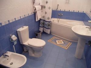 Дизайн интерьера совмещенной ванной