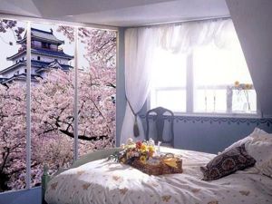 Шкаф-купе с фотопечатью