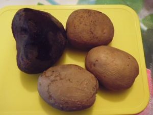 Закуска