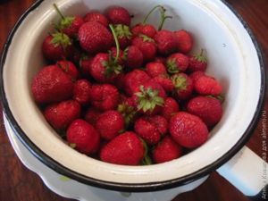 Молочный коктейль