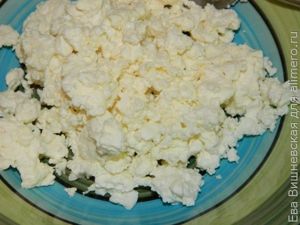 Закуска