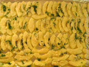 Кабачки