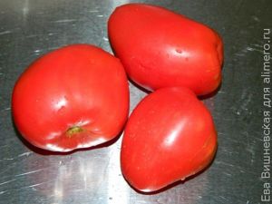 Закуска