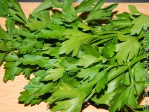 Кабачки
