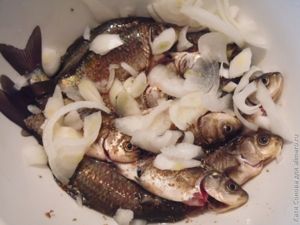 Караси