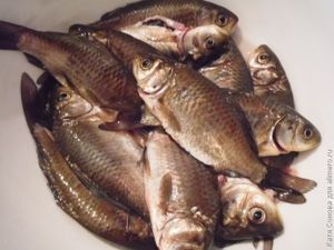 Караси