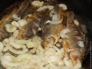 Караси