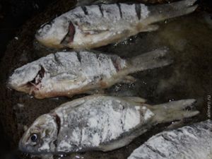 Караси