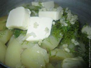картофель