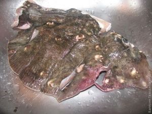камбала рецепт камбала рецепт