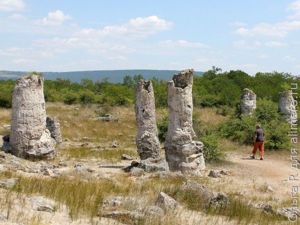 Каменный лес, Болгария