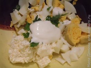 Закуска