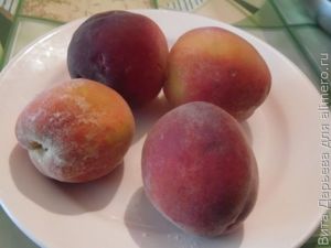 Сырники с персиками