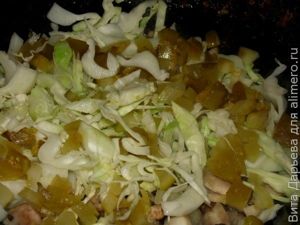 Грибная солянка