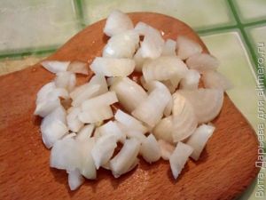Грибная солянка