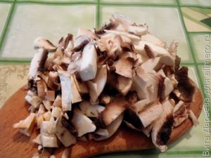 Грибная солянка
