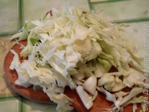 Грибная солянка