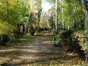 Парк в Миллерово