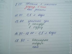 дневник питания